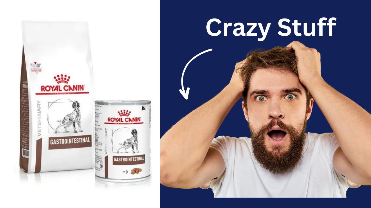 royal canin fibre response gatto opinioni