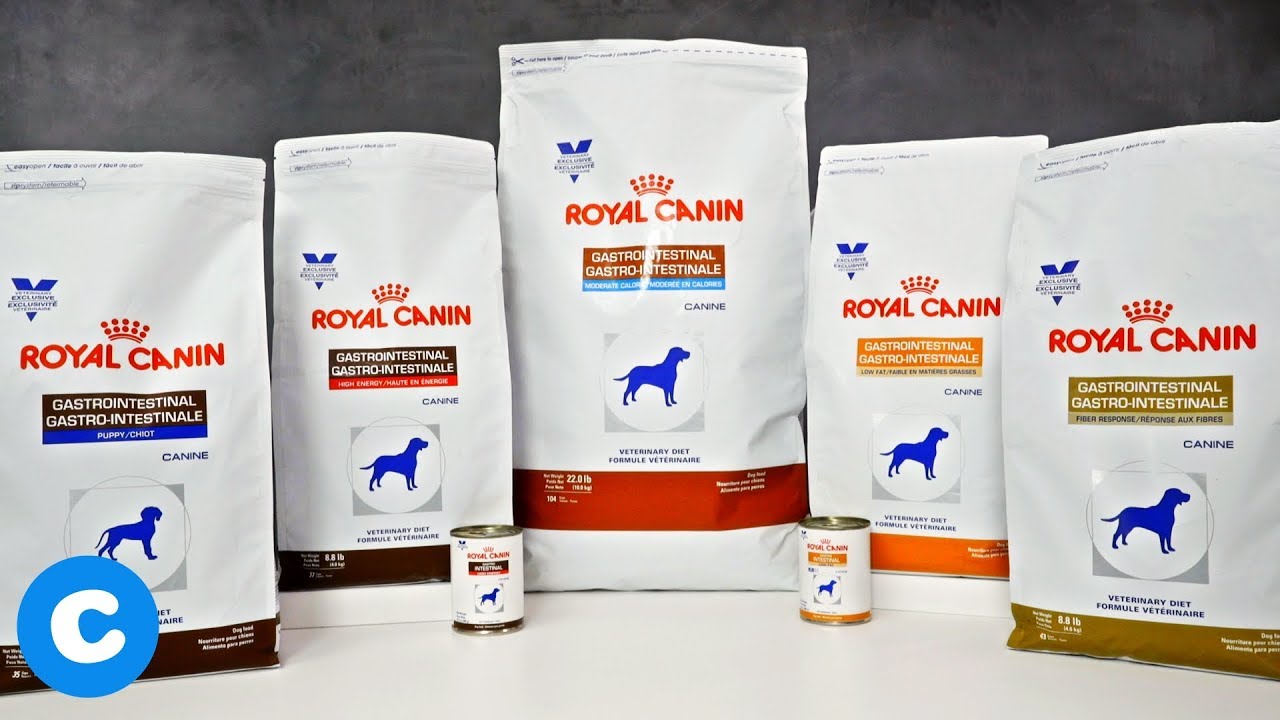 royal canin gastrointestinal fibre response gatto