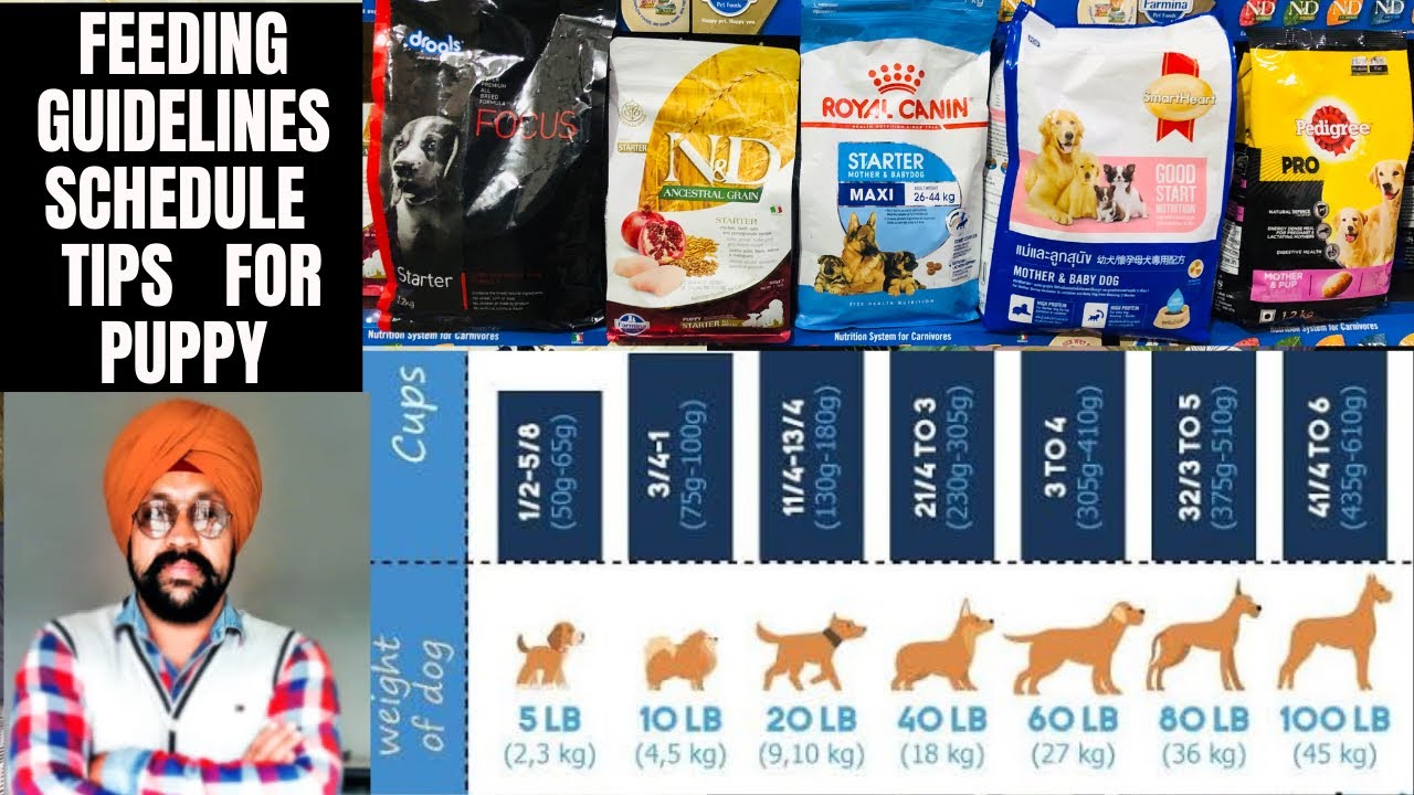royal canin maxi puppy professional 20 kg