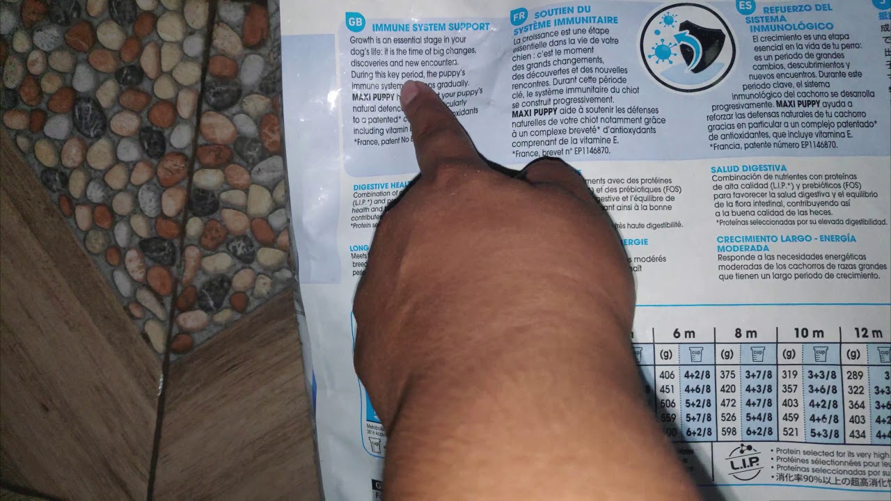 royal canin puppy medium 15 kg