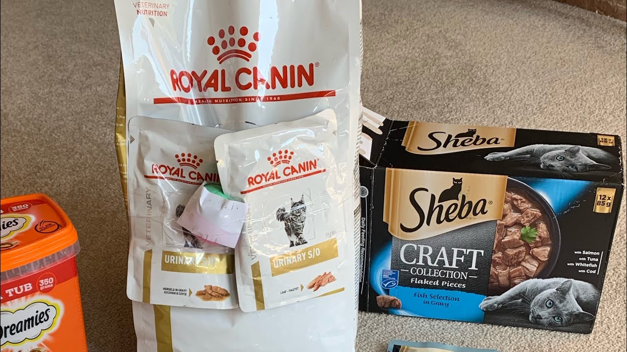 royal canin urinary s/o gatto 9 kg