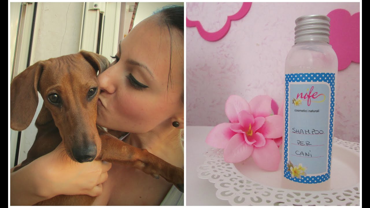 shampoo per cani fai da te