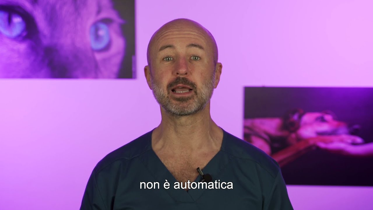 si possono dare i fermenti lattici ai cani