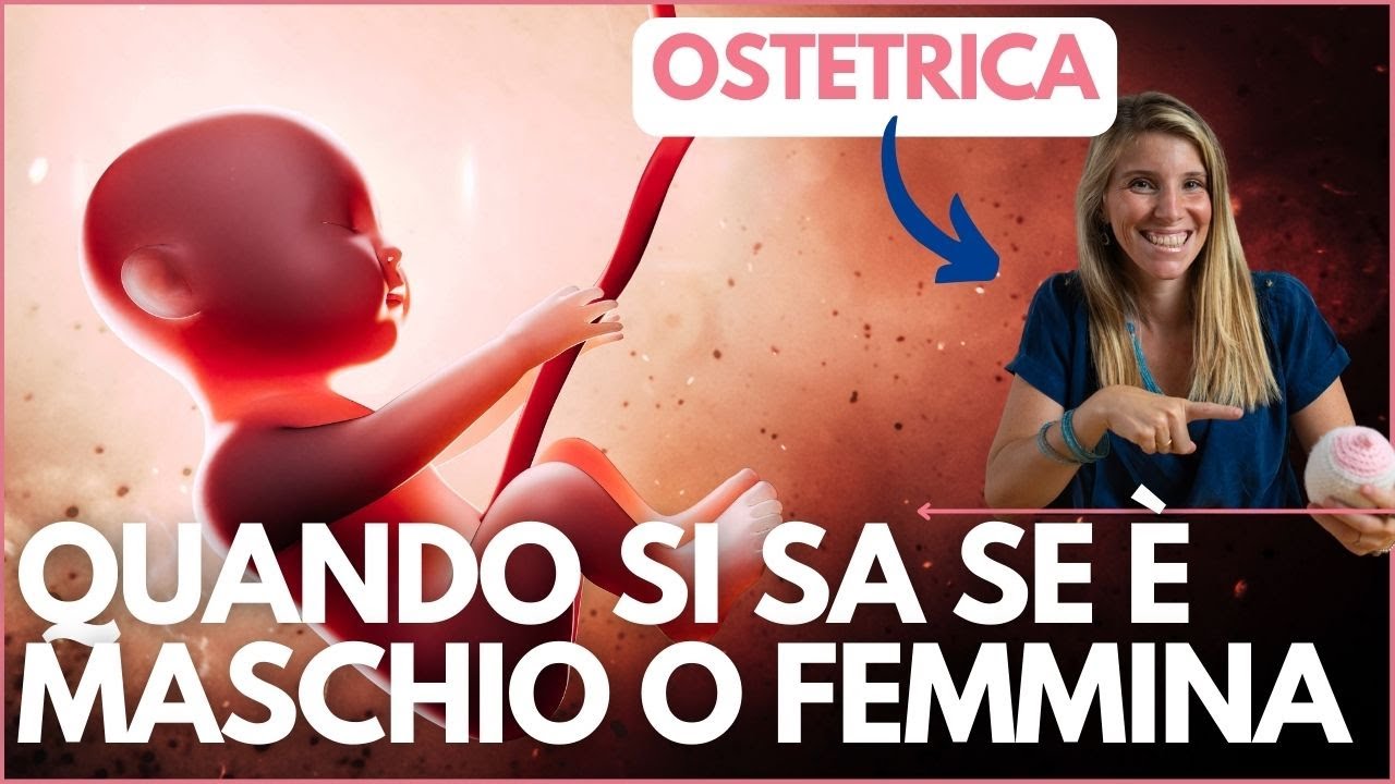 si possono sbagliare da maschio a femmina