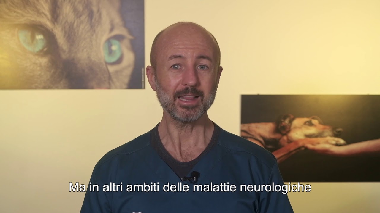 si può dare il bentelan al cane
