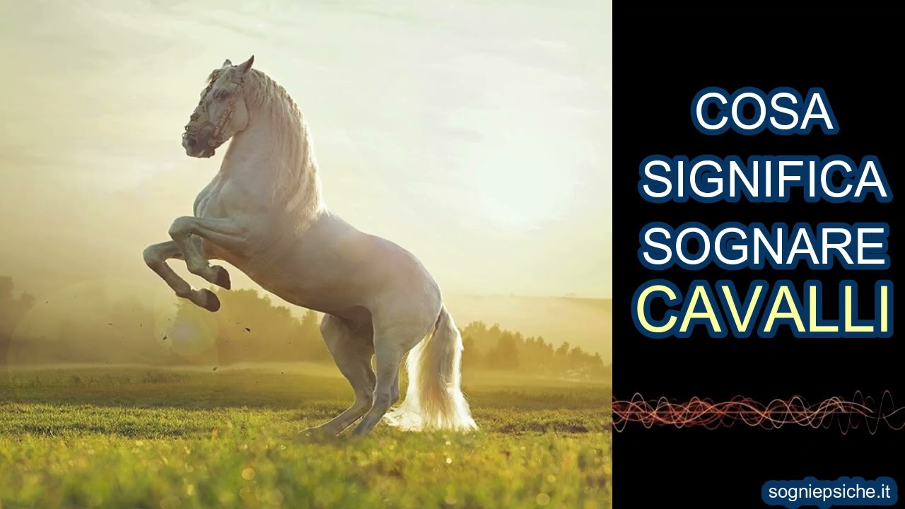 sognare un cavallo che si fa accarezzare