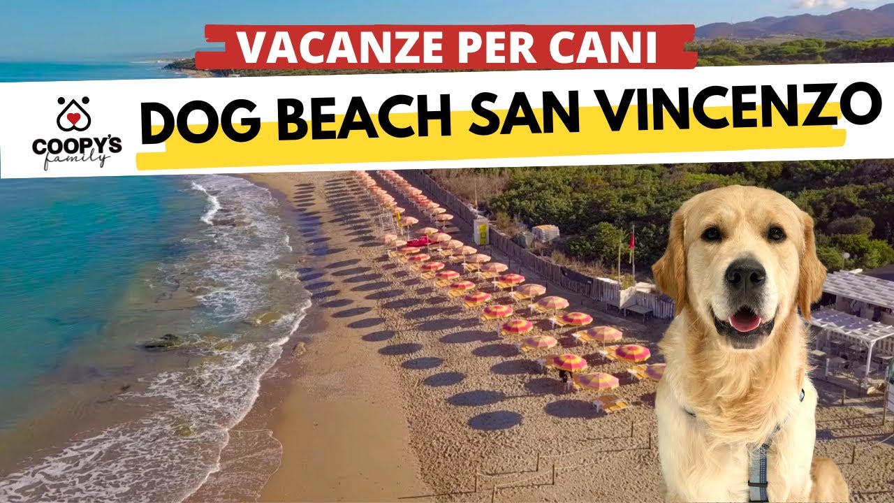 spiagge per cani vicino a me
