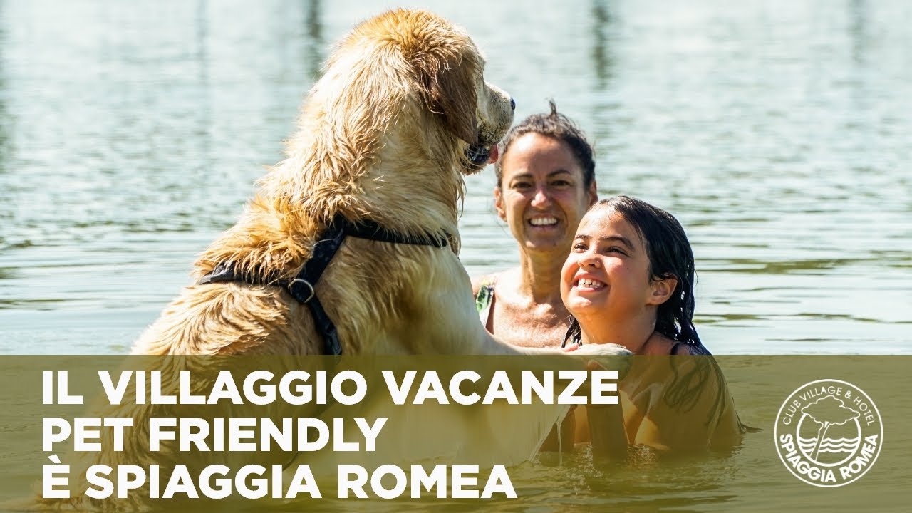 spiaggia per cani toscana con recinto