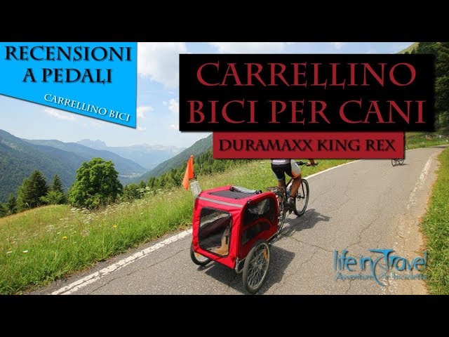trasportino bici per cani 10 kg