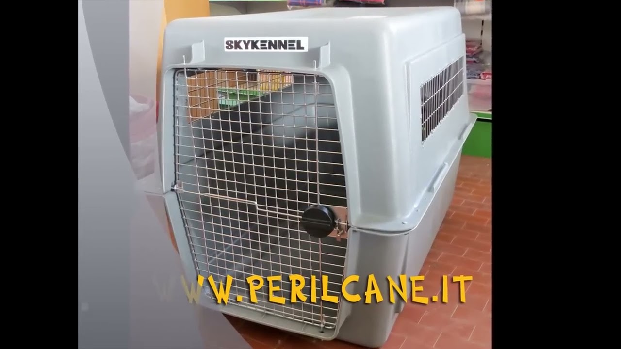trasportino cani per aereo in cabina