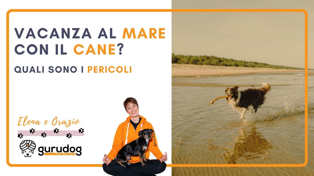 vacanze al mare con il cane