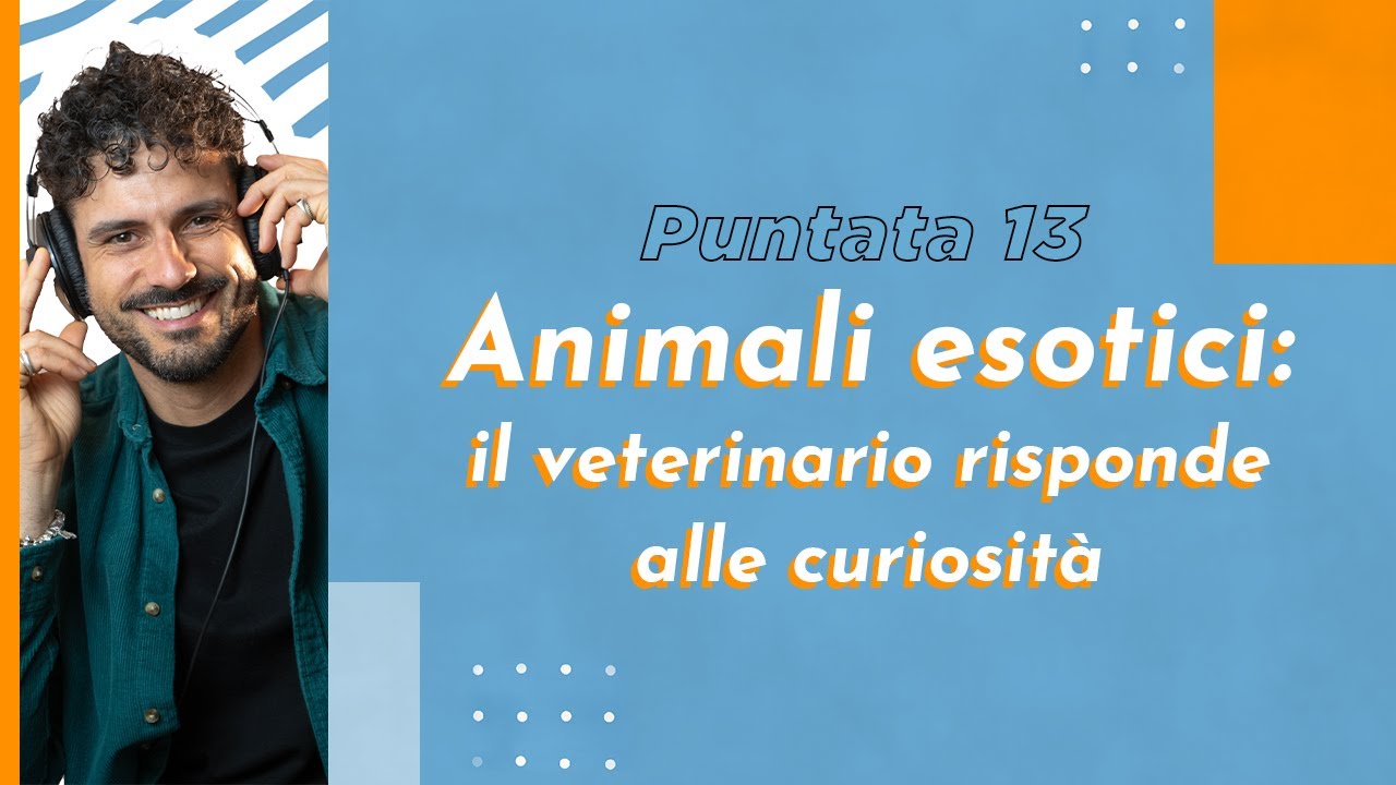 veterinario animali esotici vicino a me
