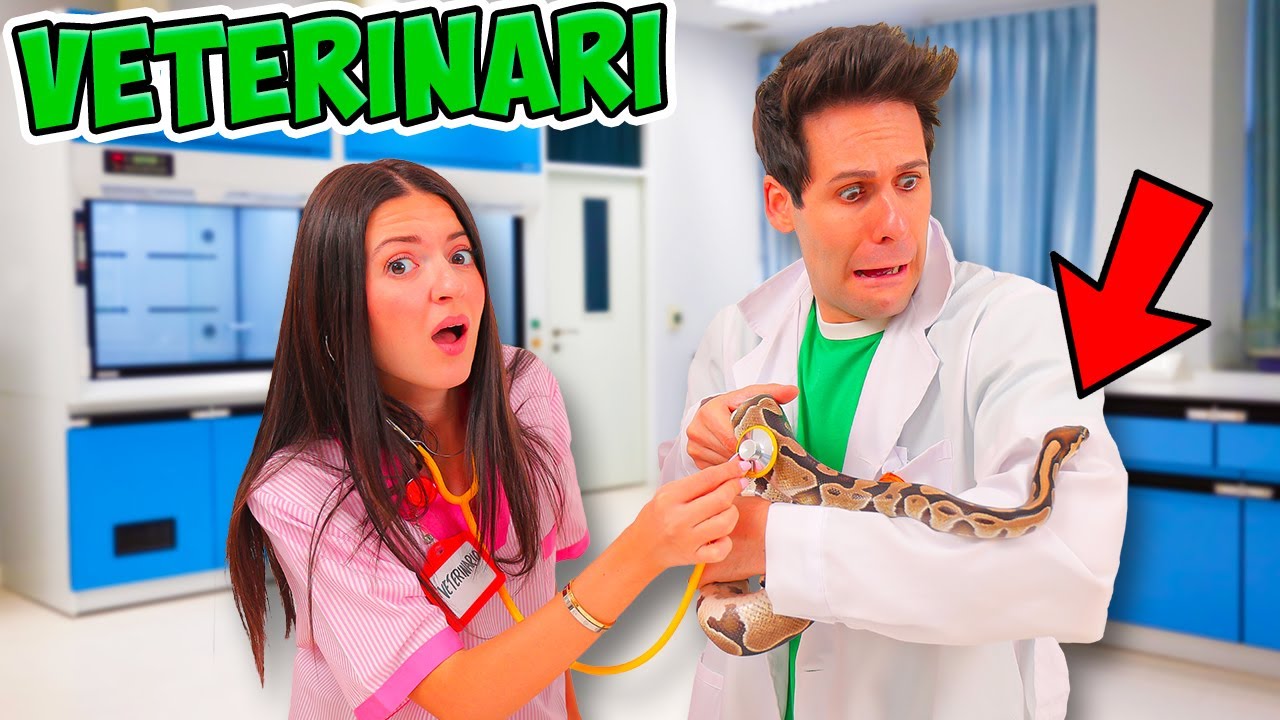 veterinario aperto 24 ore su 24 prato