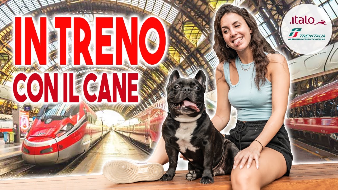 viaggio lungo in treno con cane