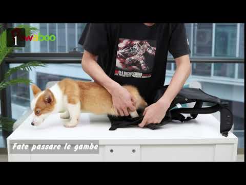 zaini per cani di piccola taglia