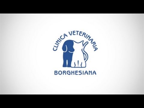anicura clinica veterinaria borghesiana roma recensioni
