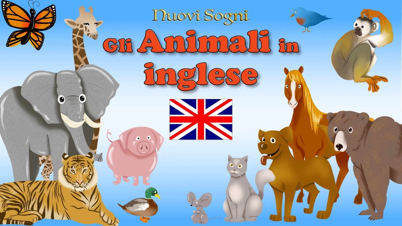 animale con la x in inglese
