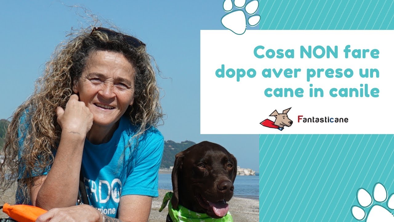 ansia dopo aver preso un cane
