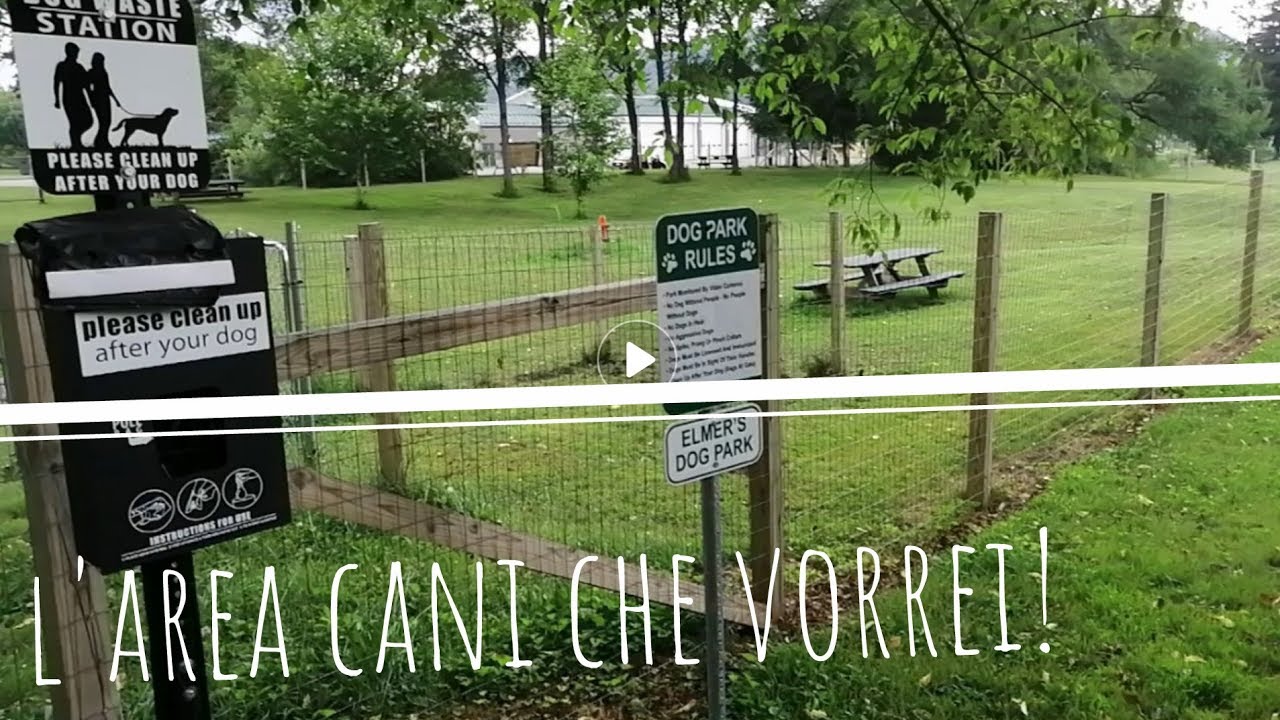 area sgambamento cani vicino a me