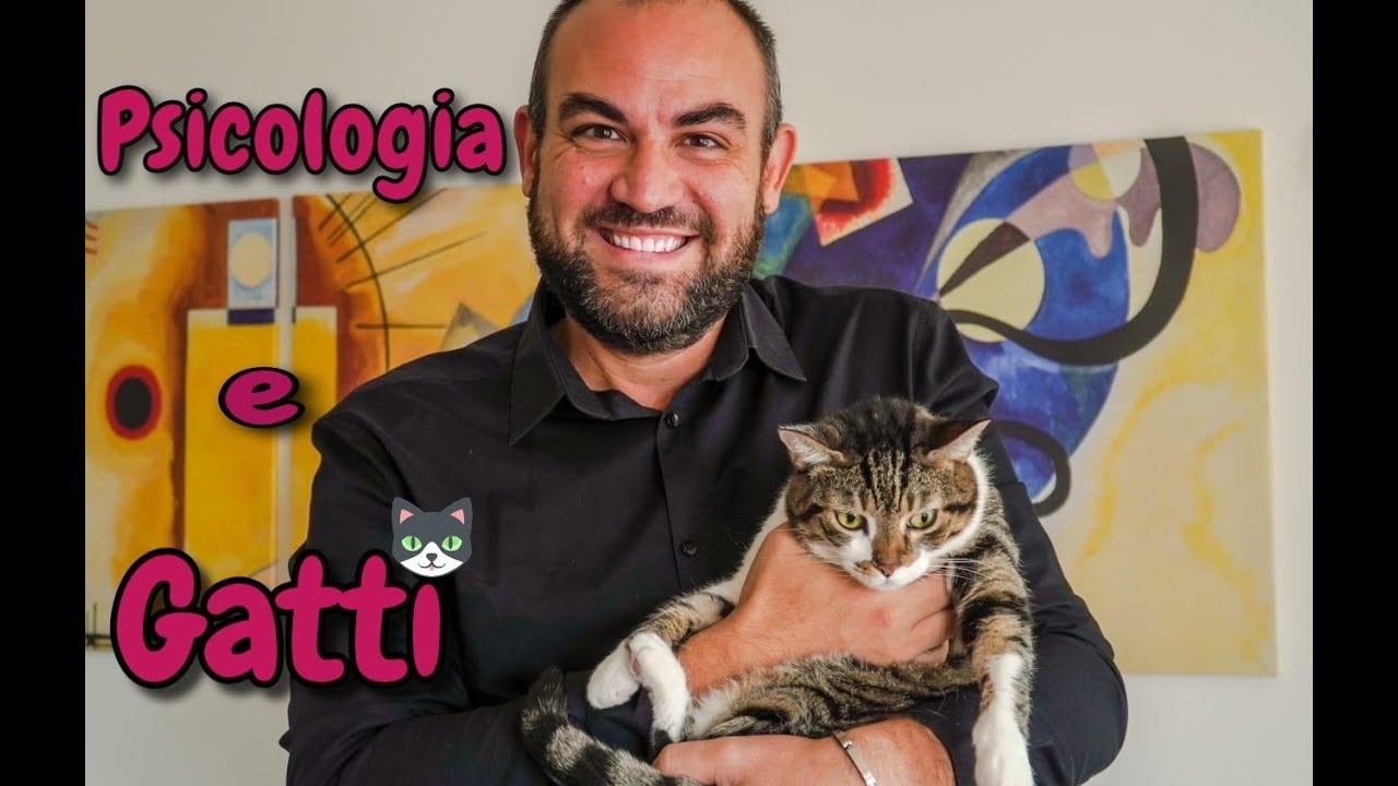avere un gatto pro e contro