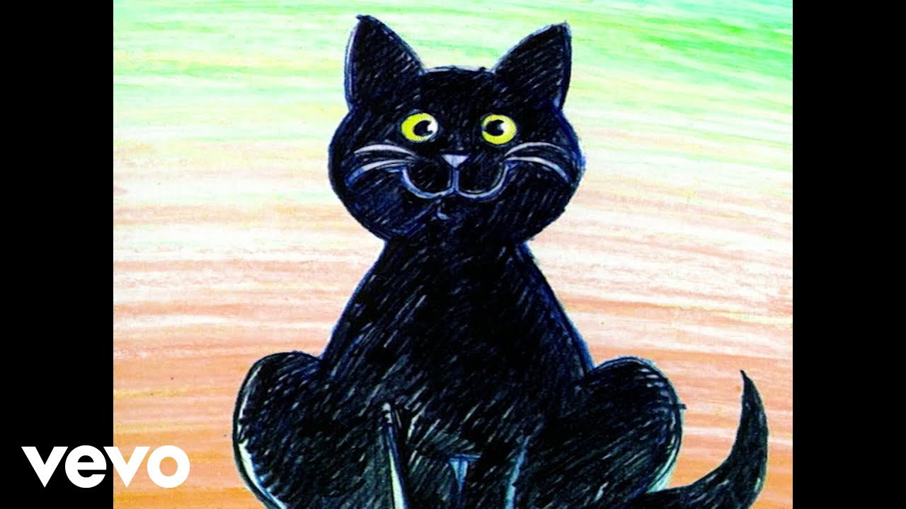 bel gatto nero dagli occhi gialli e verdi