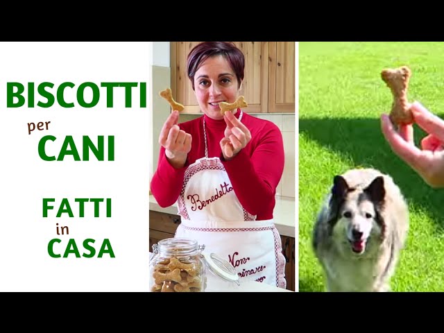 biscotti per cani fai da te