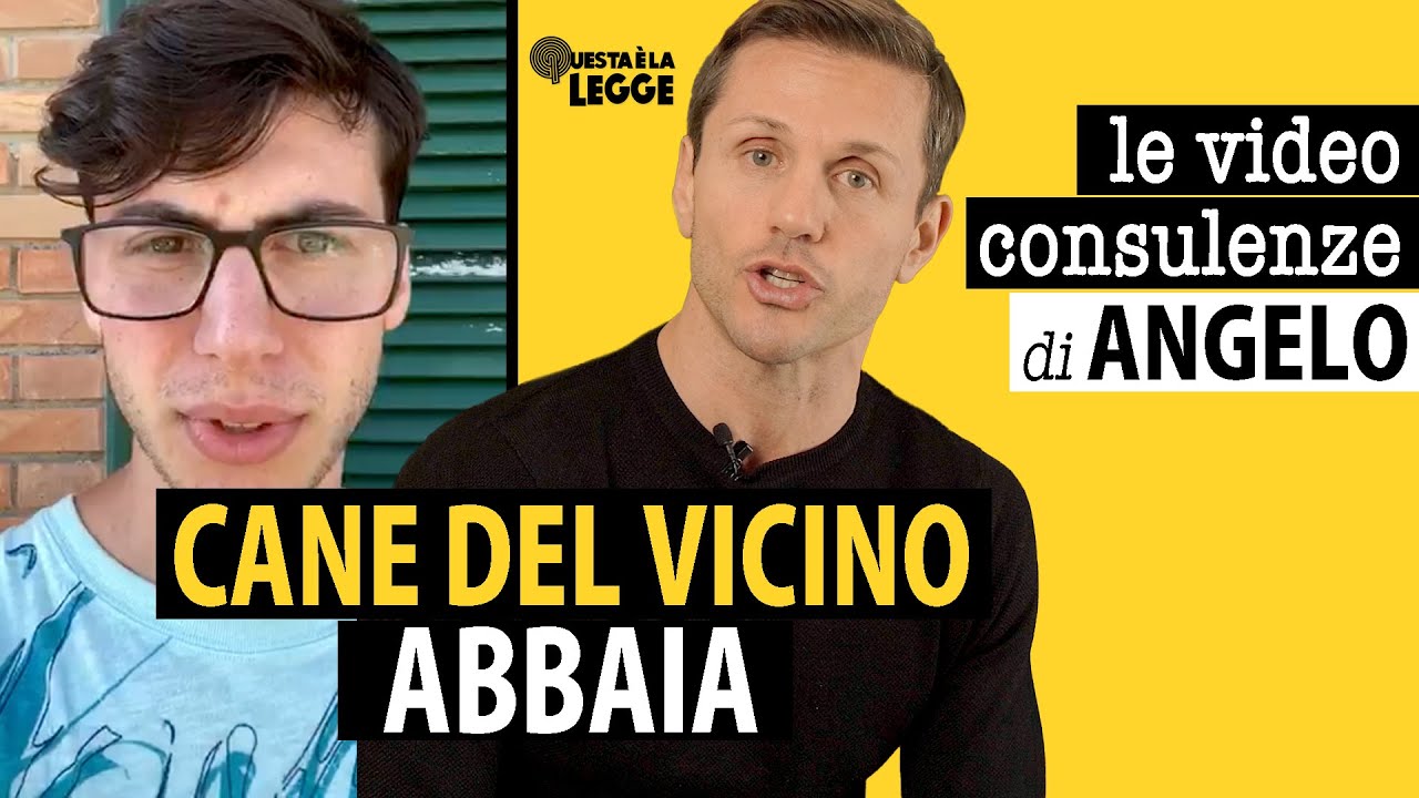 cane che abbaia in assenza del padrone
