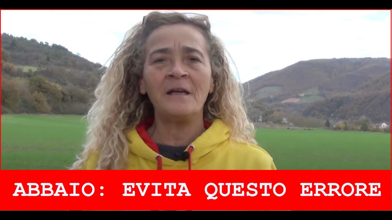 cane che abbaia sempre cosa fare