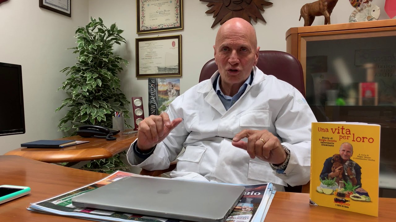 cane vomita schiuma bianca a digiuno