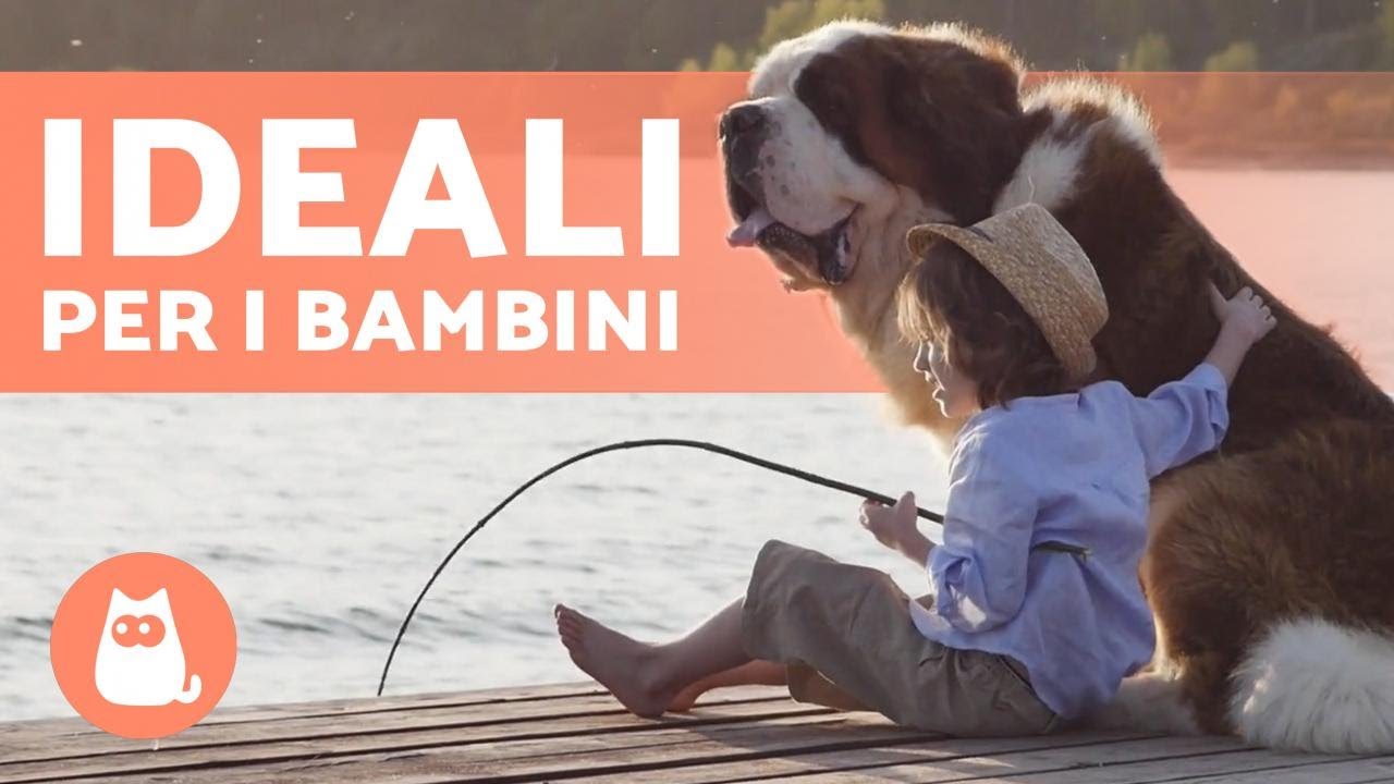 cani adatti ai bambini e da guardia