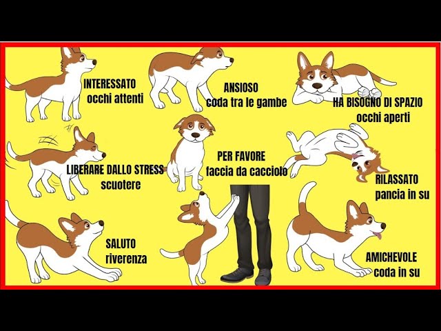 cani con la lingua di fuori