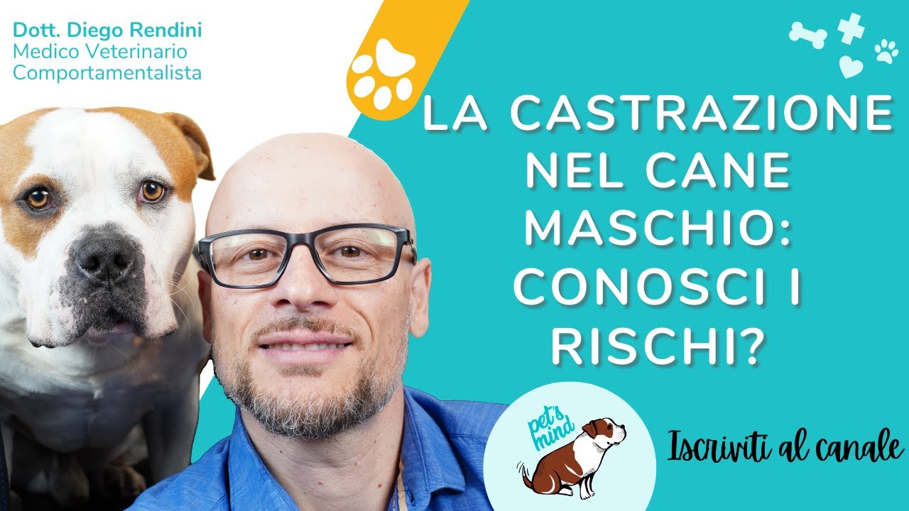 castrazione chimica cane pro e contro