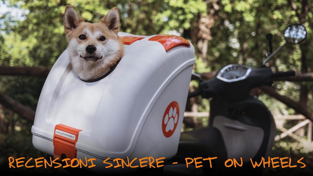 cestino bici per cani 10 kg