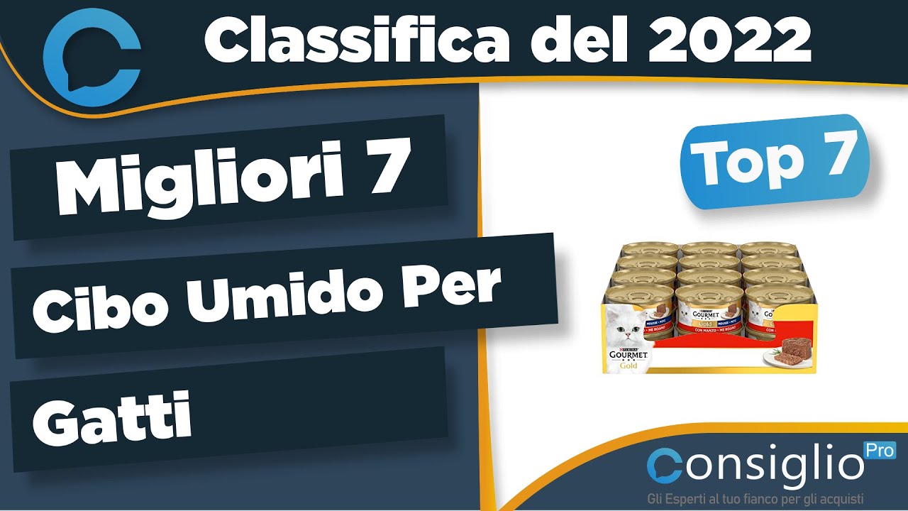 cibo umido per gatti in offerta