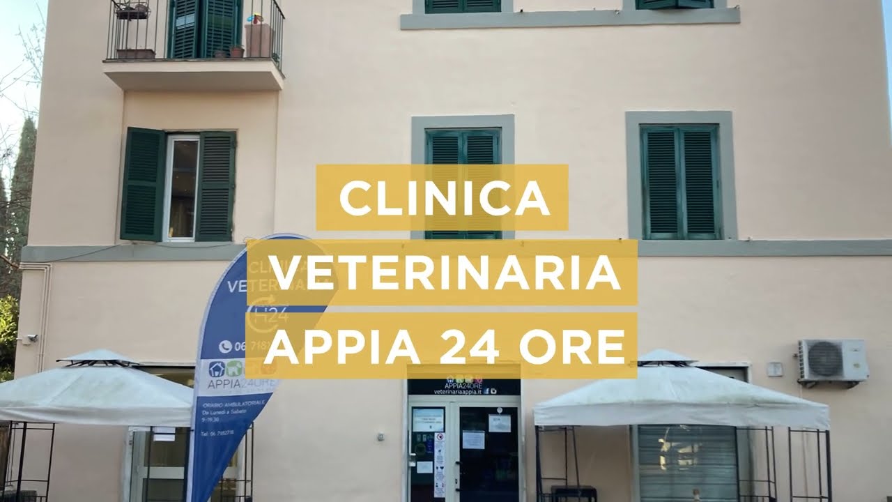 clinica veterinaria aperta 24 ore su 24