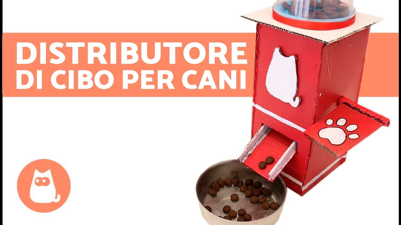 collutorio per cani fai da te