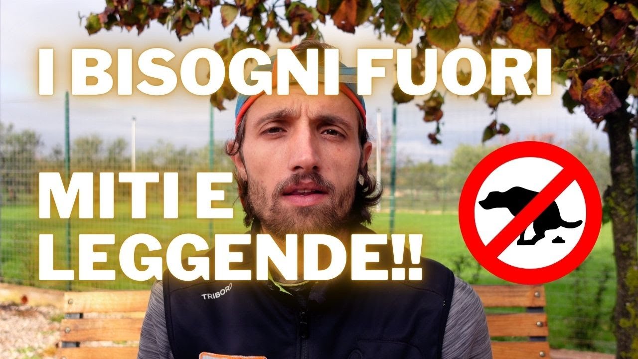 come abituare un cucciolo a fare i bisogni fuori