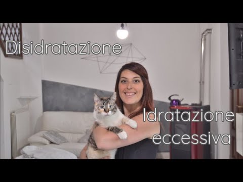 come capire se il gatto beve troppo