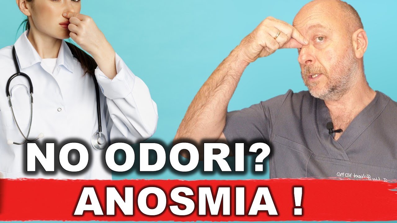 come recuperare l'olfatto in modo naturale