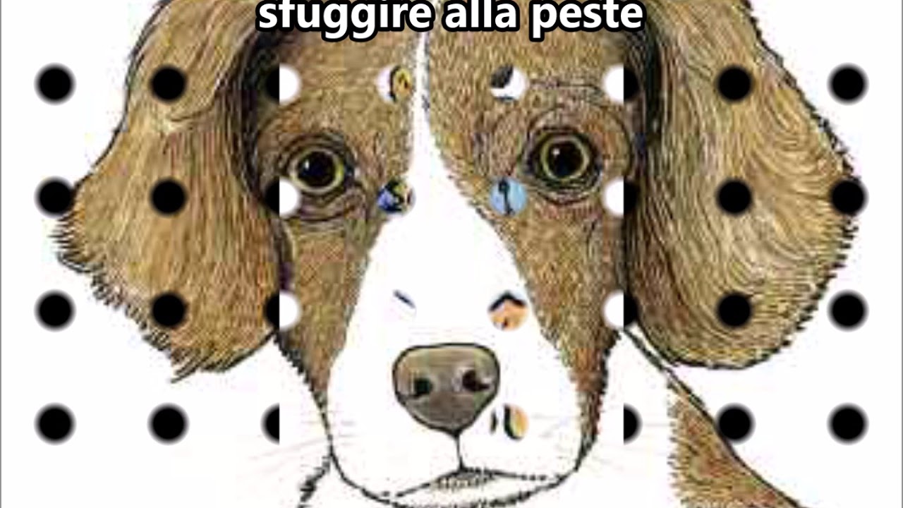 come si chiama il cane di san rocco