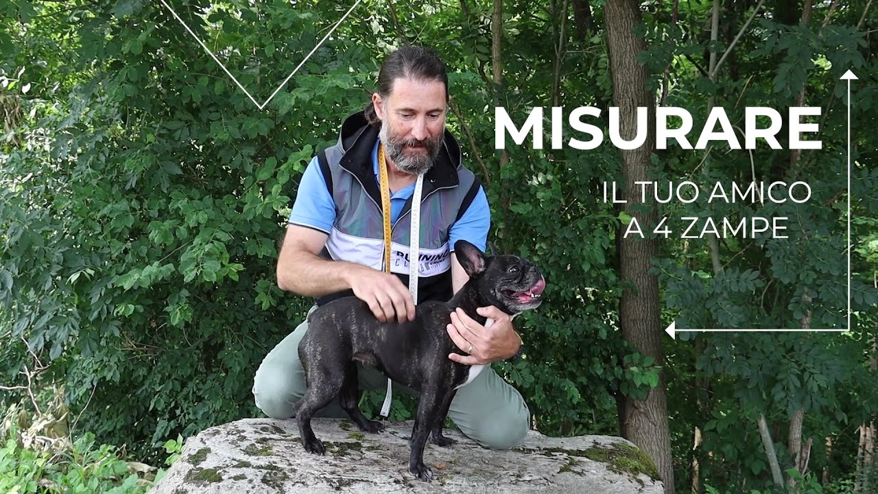 come si misura l altezza di un cane