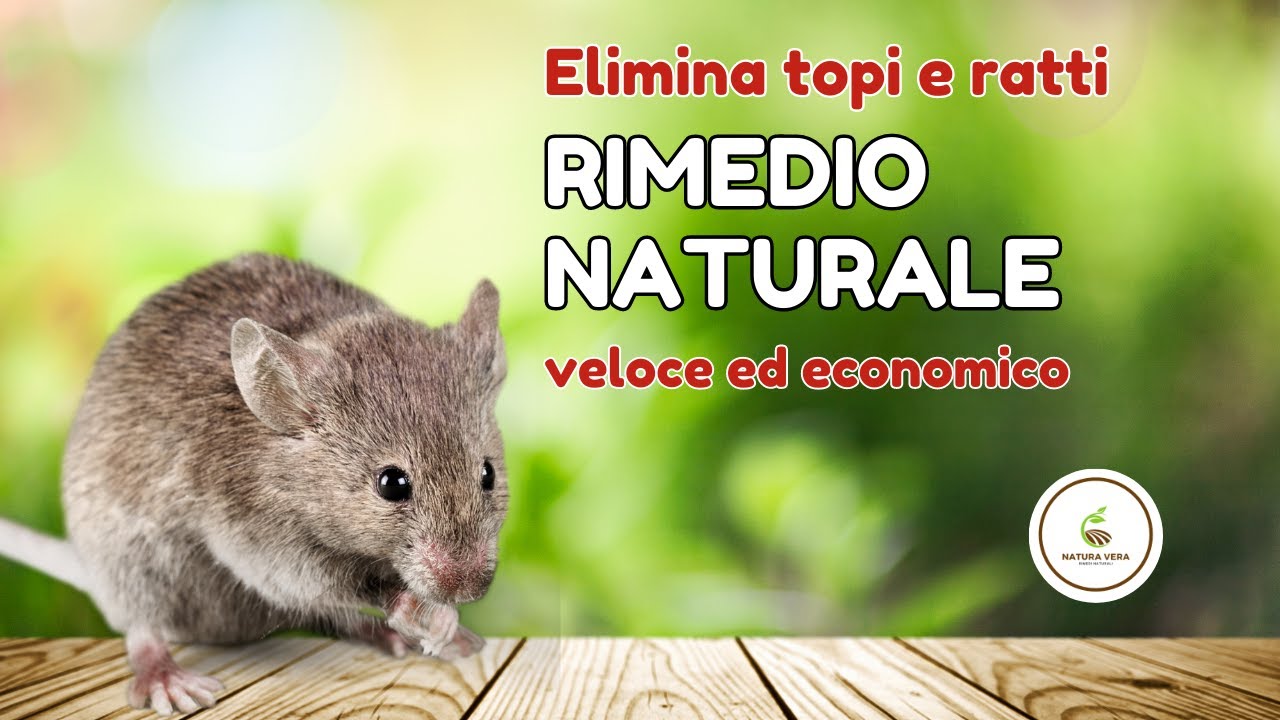 cosa mettere nelle trappole per topi