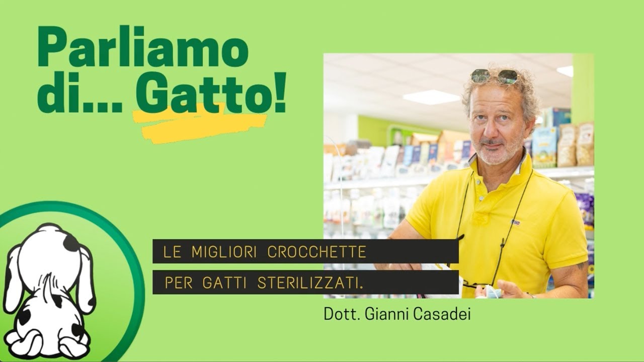 crocchette per gatti sterilizzati 20 kg