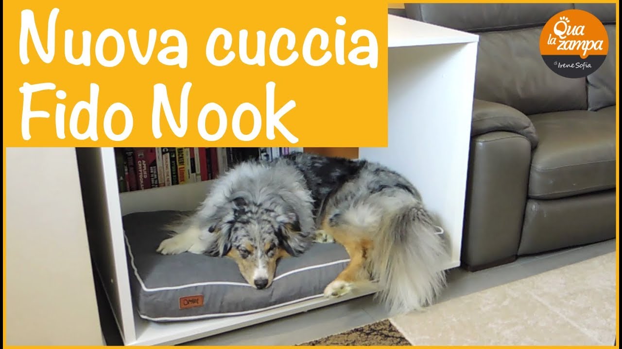 cucce per cani da interno economiche