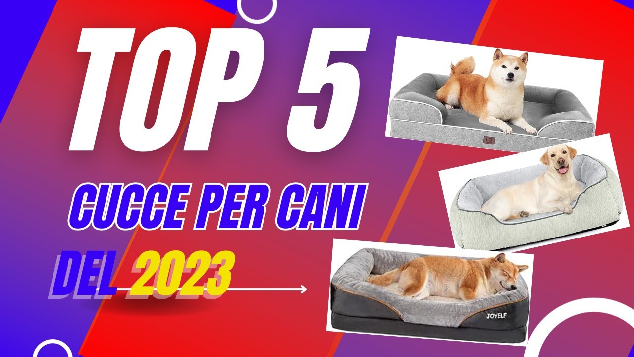 cucce per cani di taglia media