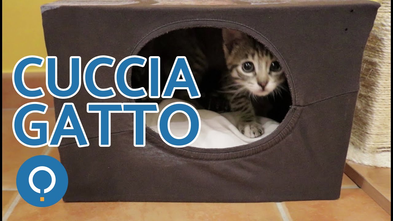 cuccia per gattini fai da te