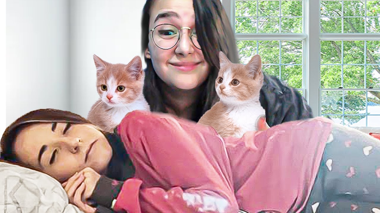 cuccioli di gatto in regalo vicino a me