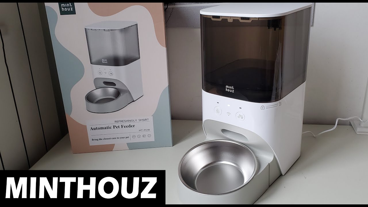 distributore automatico di cibo per gatti
