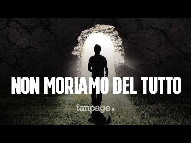 dopo quanto puzza un gatto morto