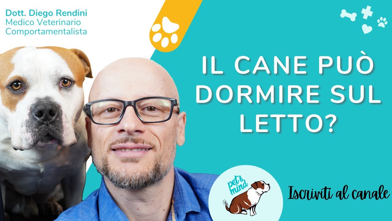 dormire con il cane nel letto